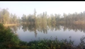 गोमती नदी में फसल डूबने से किसान परेशान, मुआवजे की मांग