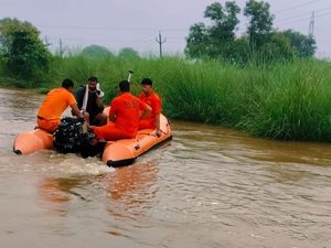 ब्रेकिंग-निचलौल:नहर में गिरकर 60 वर्षीय महिला लापता, तलाश में जुटी एसडीआरएफ टीम