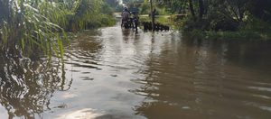 कस्ता:सरायन एक बार फिर उफनाई, भारी तबाही मचाई