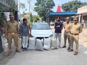 ऑपरेशन सवेरा: बुढ़ाना पुलिस की बड़ी कार्रवाई, 65 किलो 970 ग्राम गांजा बरामद, दो तस्कर गिरफ्तार,