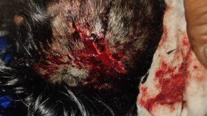 भूसा व्यापारी पर अज्ञात हमलावरों ने धारदार हथियारों व लाठी डंडों से किया हमला हालत गंभीर।