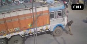 हरदोई: मंडी चौकी इंचार्ज बाबू सिंह को ट्रक ने मारी टक्कर ।