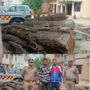 थाना रामराज पुलिस टीम ने शीशम के पेड़ चोरी से काटने वाले ,,02,, शातिर चोर अभियुक्तों को किया गिरफ्तार,।