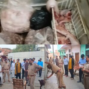 बाराबंकी-मांस की दुकानों पर छापेमारी, 9 दुकानें सील,बिना लाइसेंस चल रही थी दुकानें,डीएम के आदेश पर जिले भर में चला अभियान