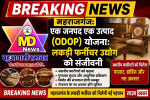 महराजगंज:एक जनपद एक उत्पाद (ODOP) योजना: लकड़ी फर्नीचर उद्योग को संजीवनी