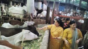 राष्ट्रीय हिंदू जागृति संघधर्म एवं राष्ट्र सेवा को समर्पिसोमवार को संगठन के द्वारा आज रामपुर में नियर उत्सव प्लेस के गौ शाला में एक कार्यक्रम आयोजन किया गयाए।       मडी न्यूज़ बहुआयामी समाचार जिला रिपोर्टर युसूफ की रिपोर्ट