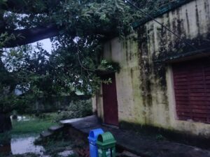 आंधी-बारिश में पेड़ गिरने से आंगनवाड़ी केंद्र की छत व दीवारों में आई दरारें, नौनिहालों की सुरक्षा पर मंडराया खतरा