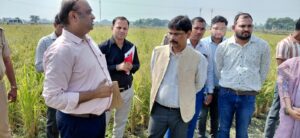 ग्राम दयालपुर में डीएम ने धान की क्रॉप कटिंग का लिया जायजा