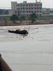 उसावां में हाईटेंशन लाइन की चपेट में आने से मजदूर की मौत
